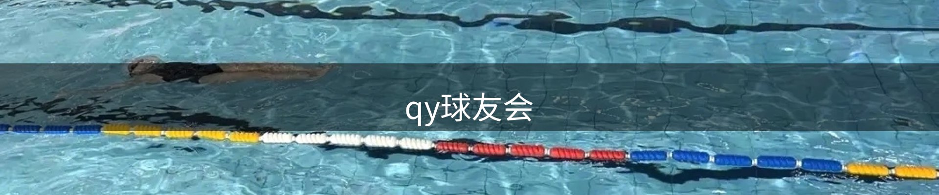 qy球友会